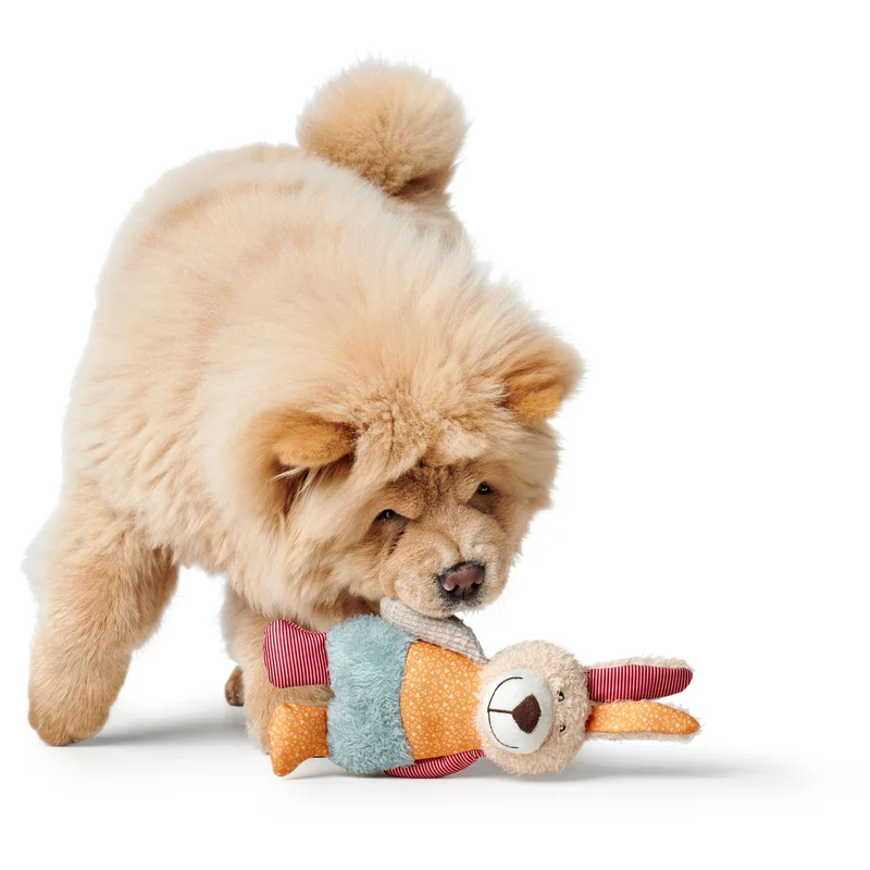 Hundespielzeug Muli