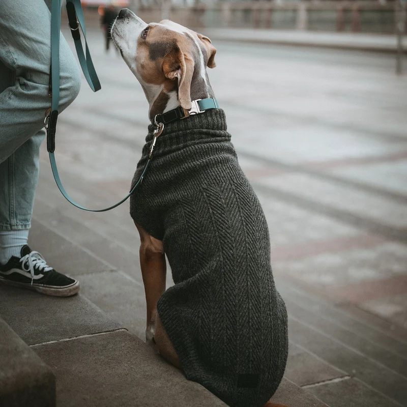 Hundepullover Genf