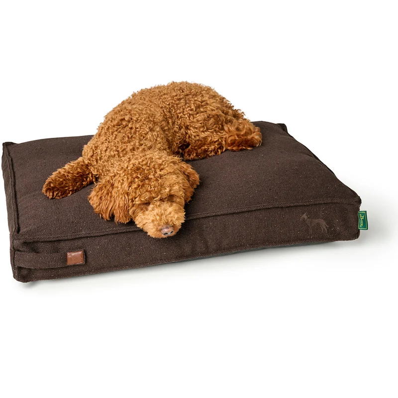 Recycling Hundekissen Belluno