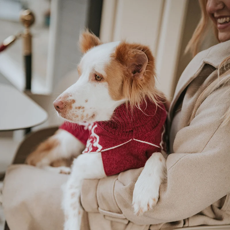 Hundepullover Birka