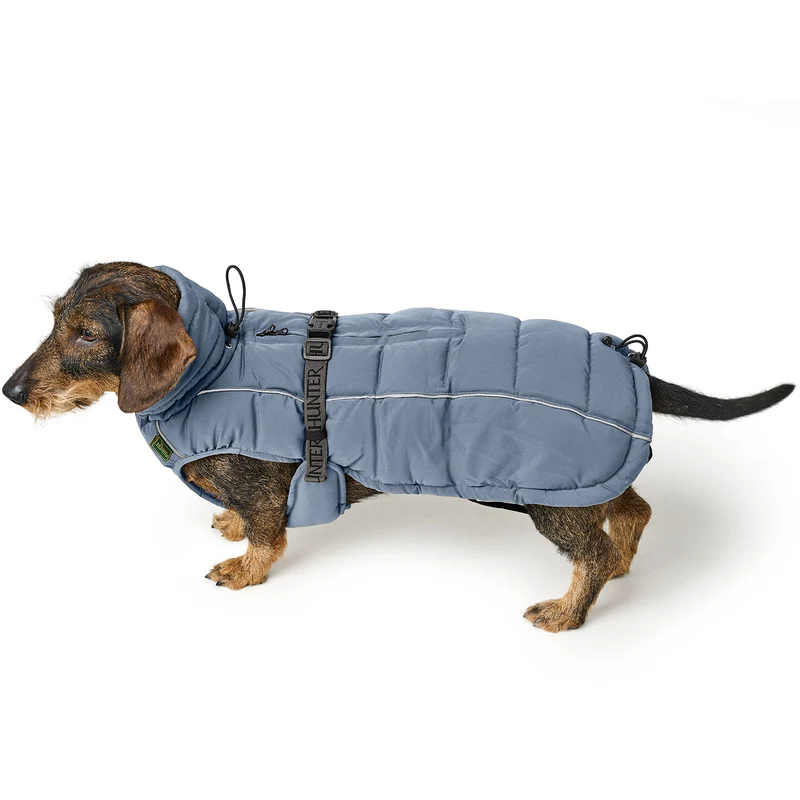 Hundemantel Paxson Dackel