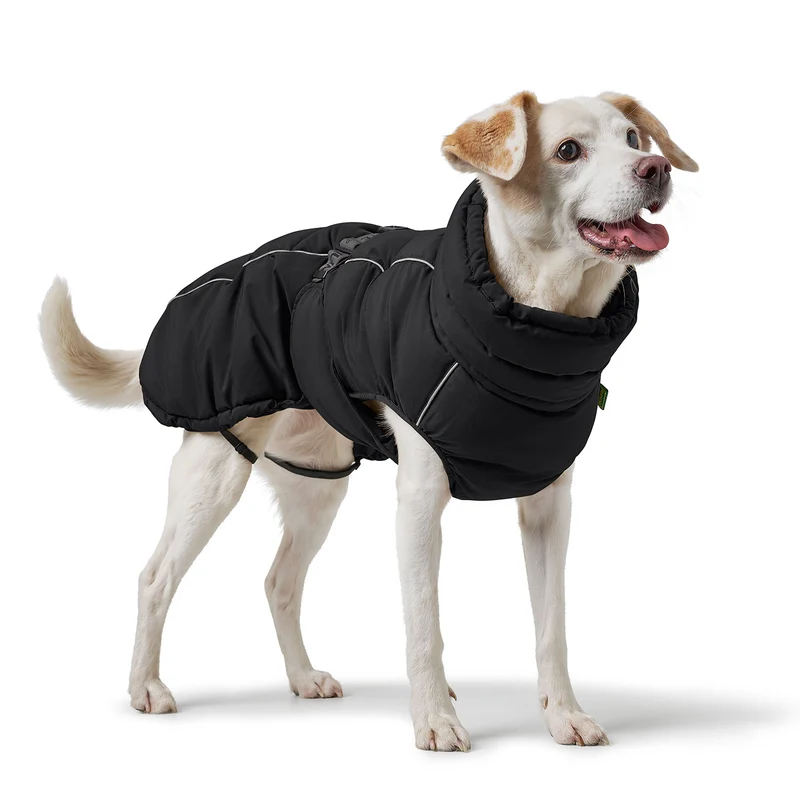 Hundemantel Paxson