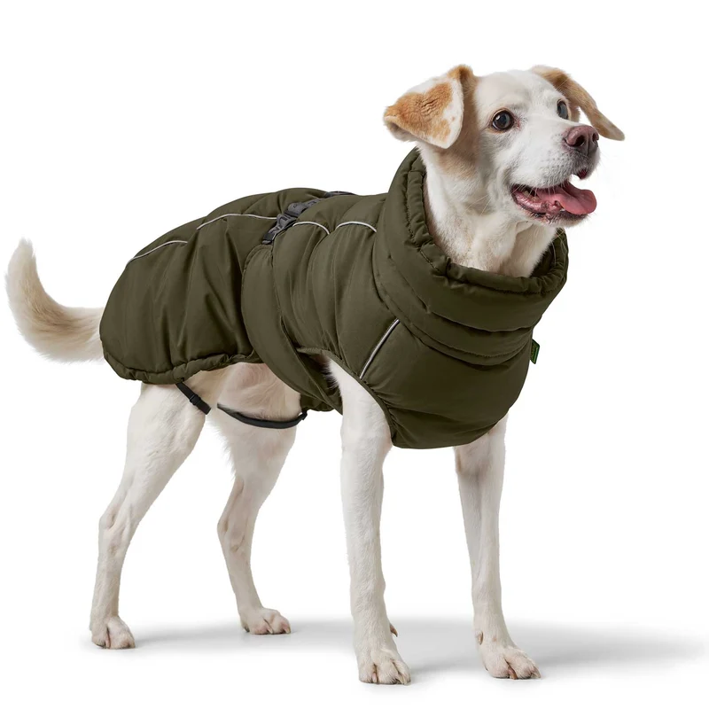Hundemantel Paxson
