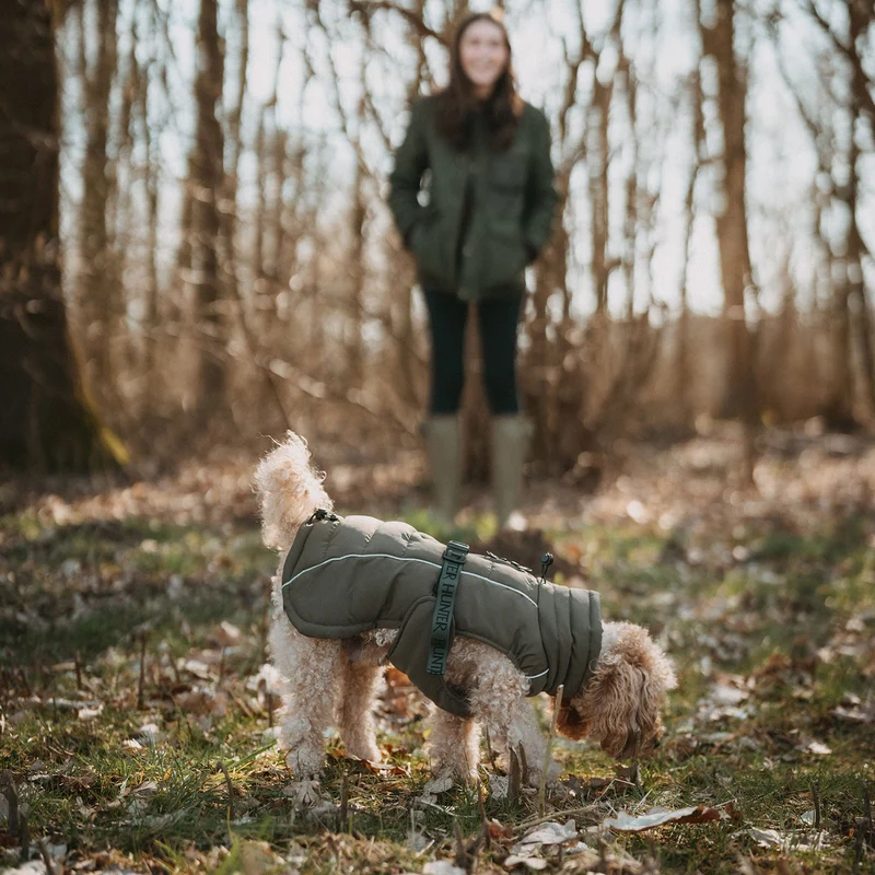 Hundemantel Paxson
