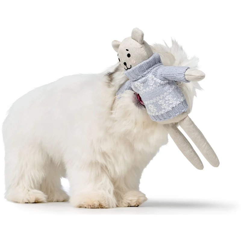Hundespielzeug Birka