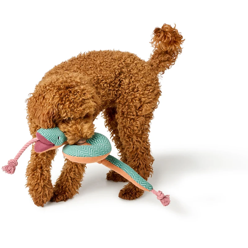 Hundespielzeug Rio