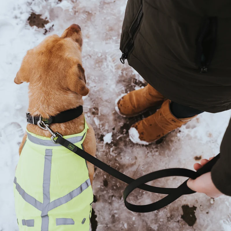 Warnweste für Hunde