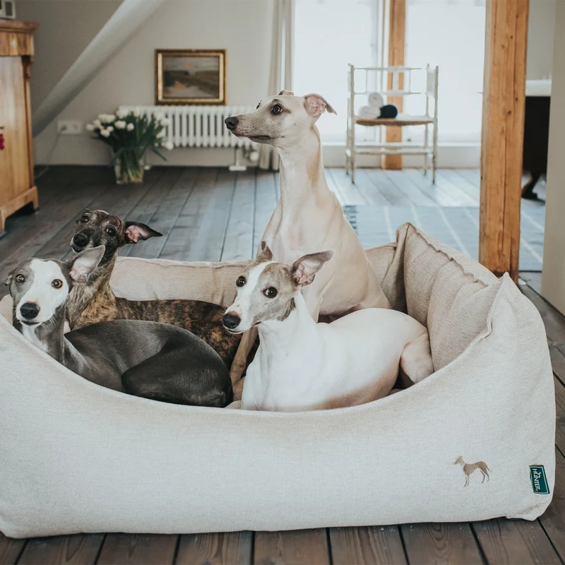 Hundesofa Livingston