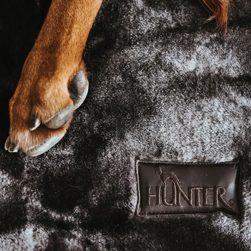 Hundedecke Konstanz