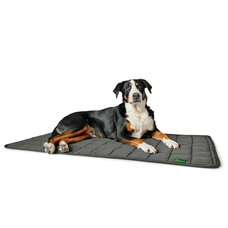 Hundedecke Hamilton