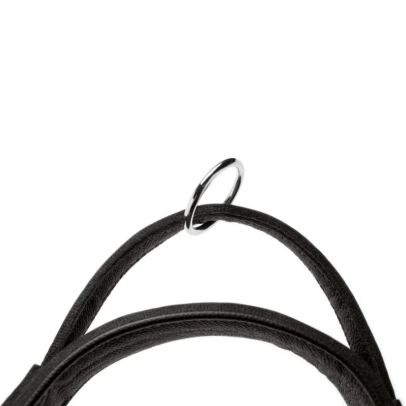 Trainingshalsband mit Griff Larvik