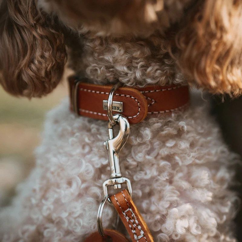 Halsband Aalborg Special