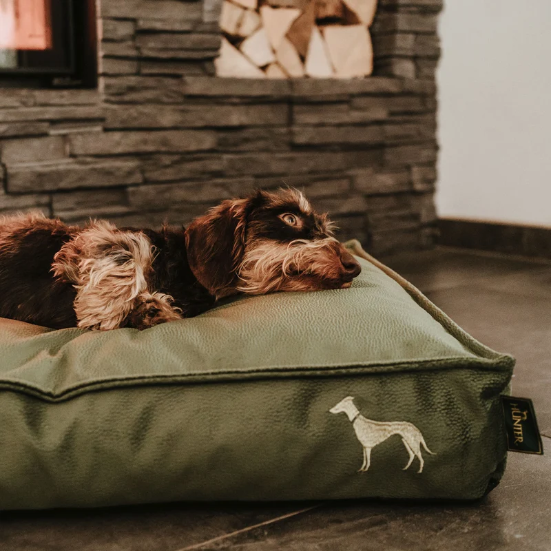 Orthopädisches/Ergonomisches Hundekissen Merida