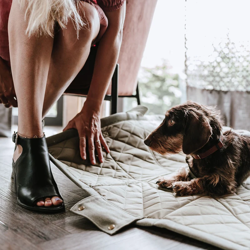 Tragetasche & Hundedecke Madison