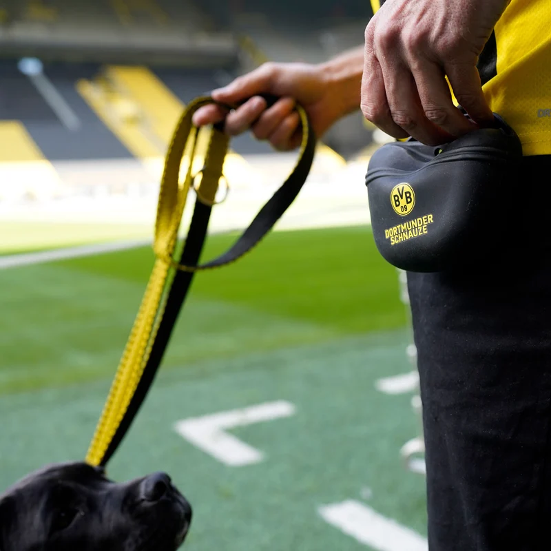 Silikon Snackbeutel BVB