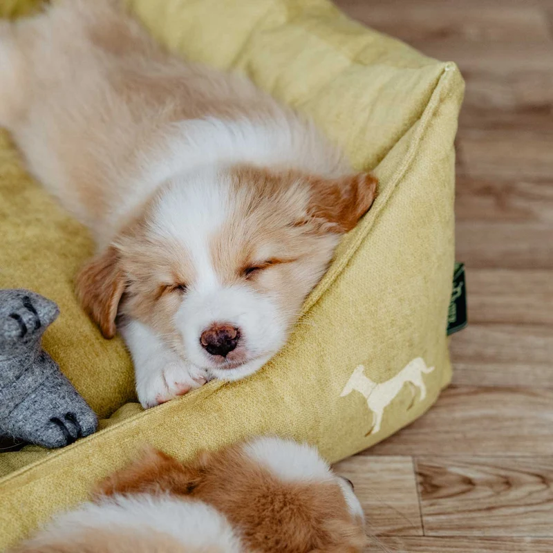 Hundesofa Eiby