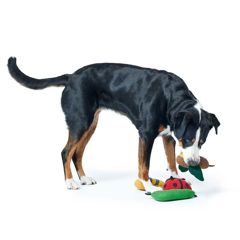Hundespielzeug Florenz