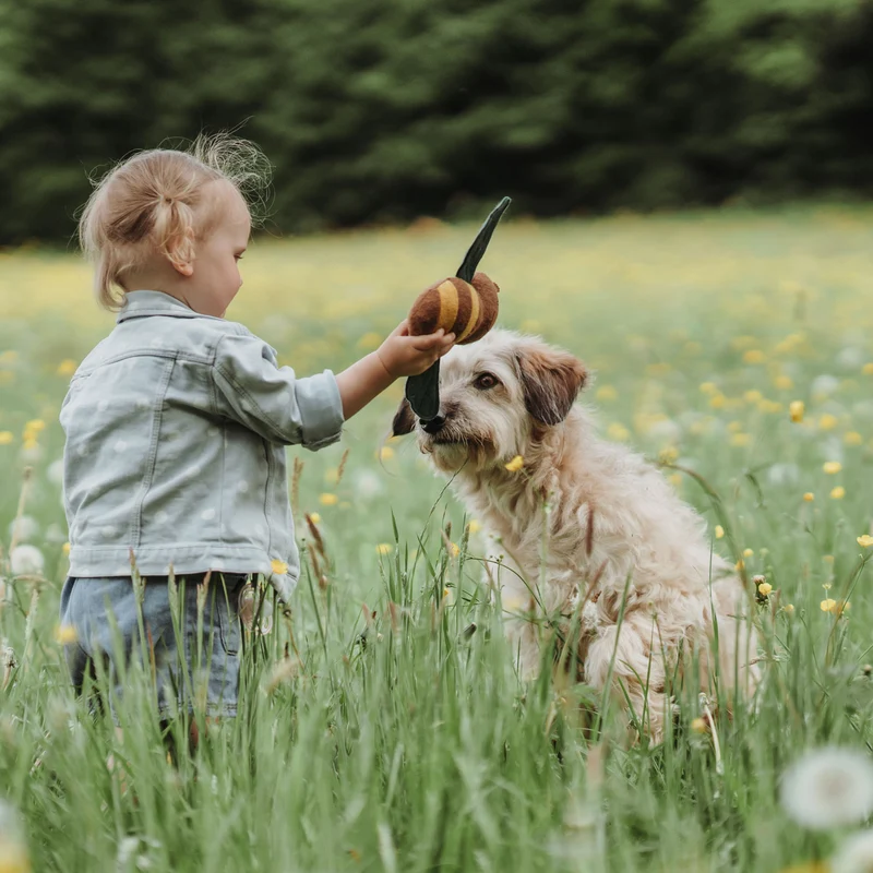 Hundespielzeug Florenz