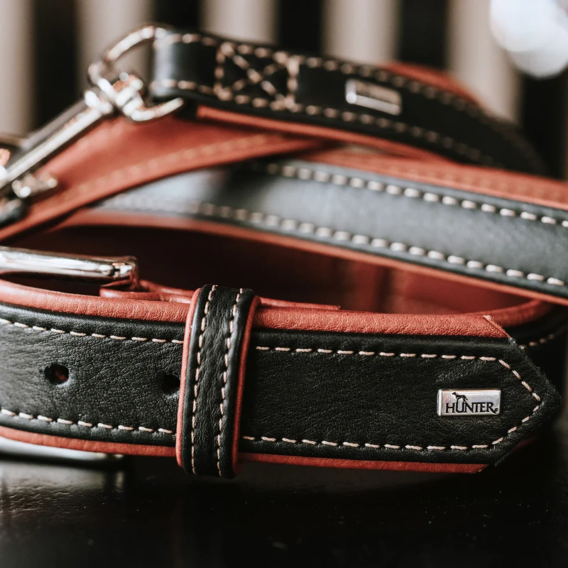 Halsband Canadian Up