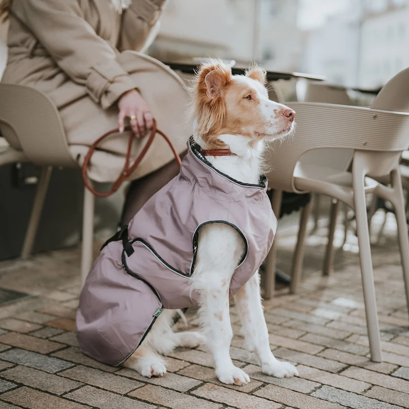 Hundemantel Uppsala
