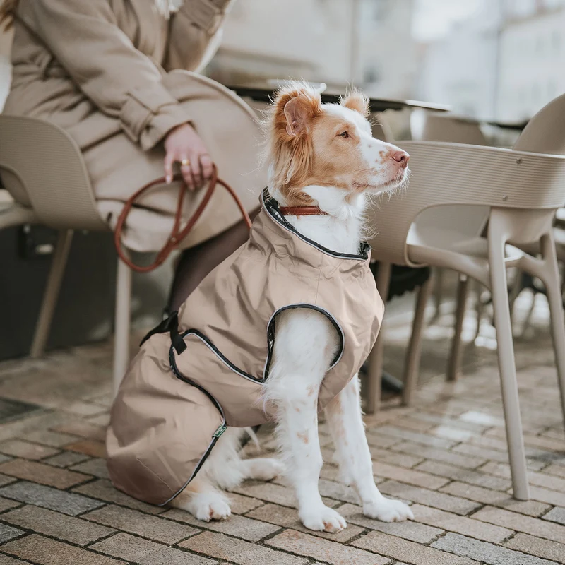 Hundemantel Uppsala