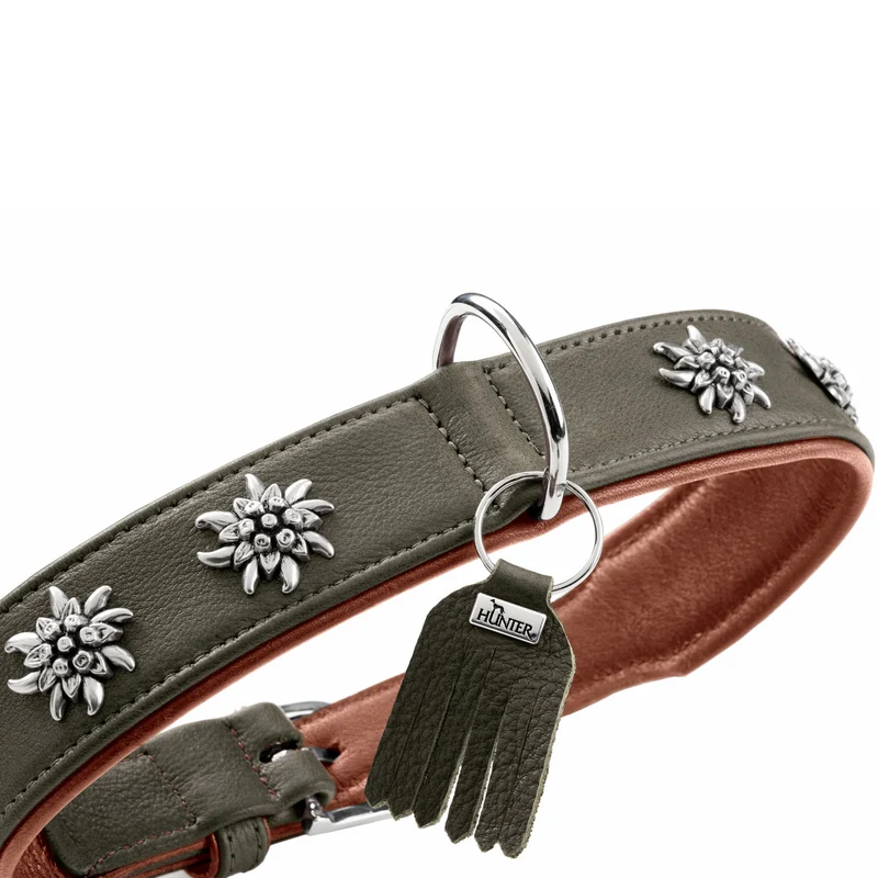 Halsband München
