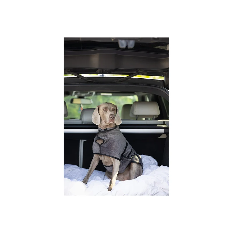 BR Hundebademantel