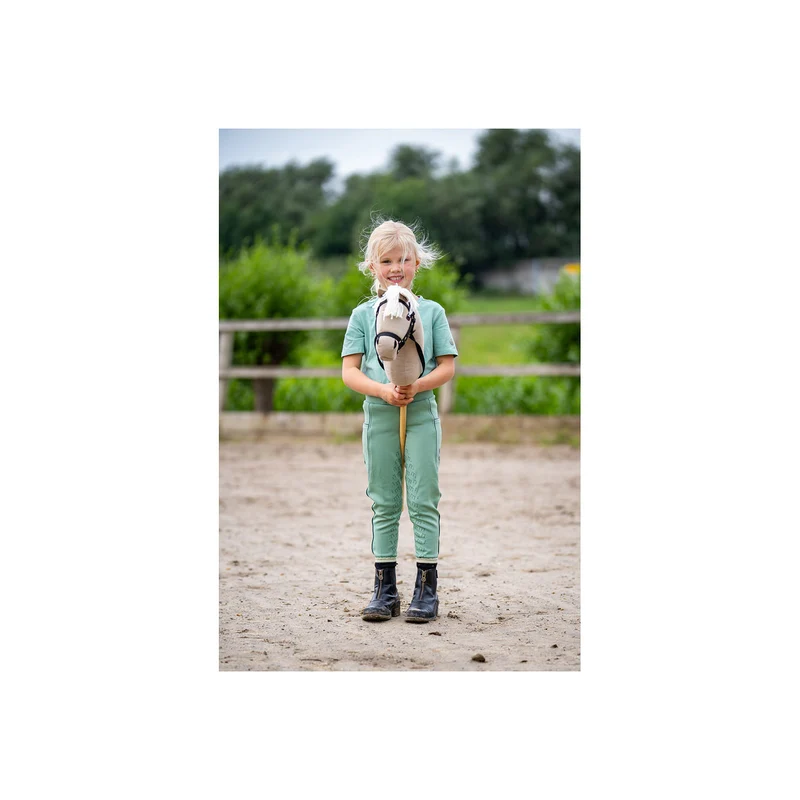 BR Mini Horse Hobby Horse