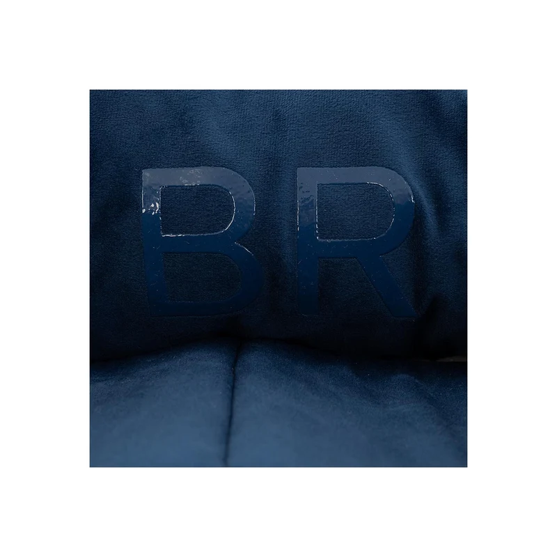 BR Hundebett