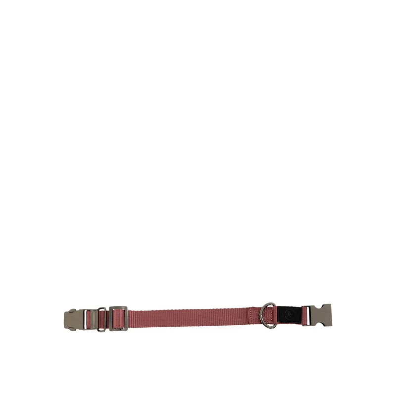 BR Hundehalsband