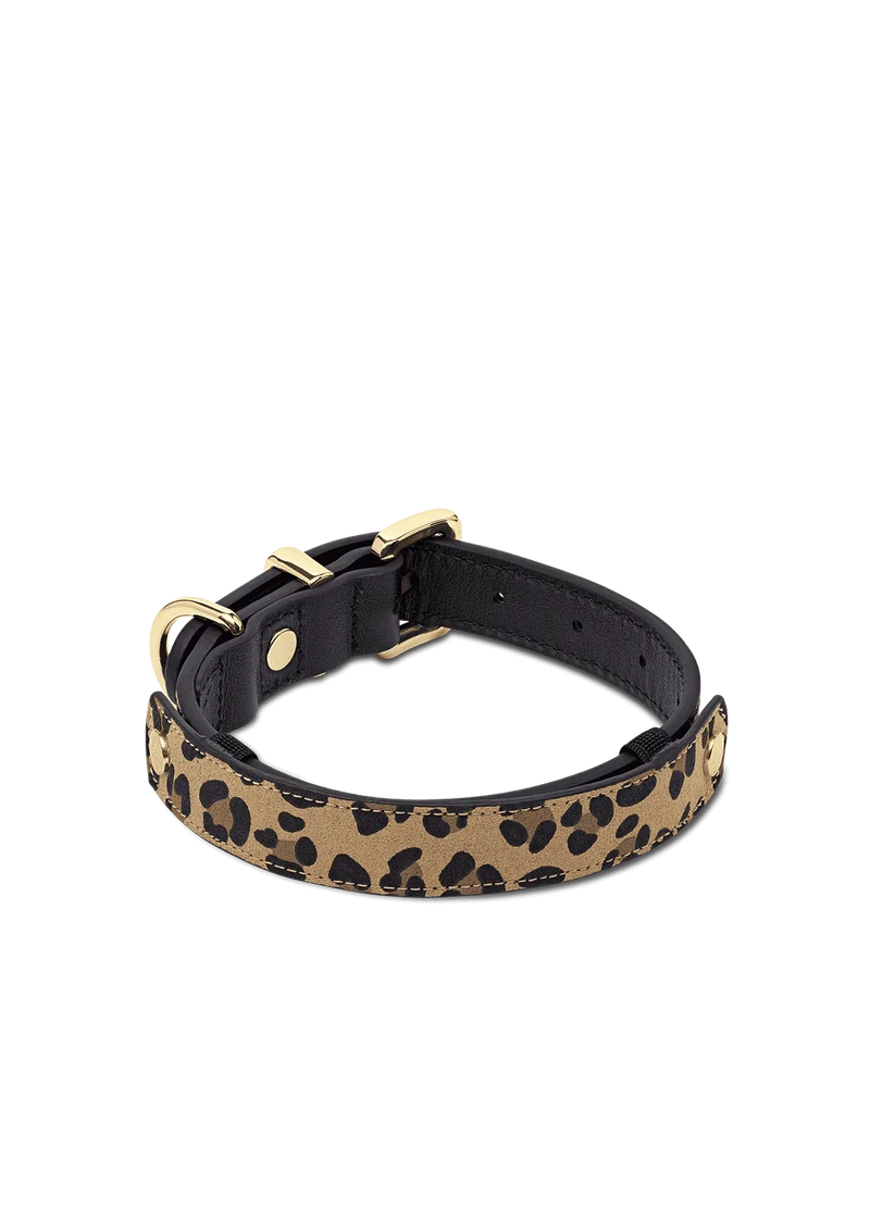 Animal Print - Classic Dog Collar S-M