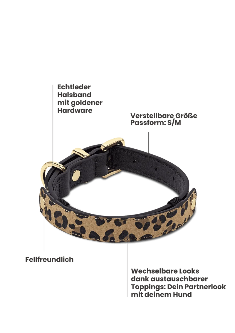 Animal Print - Classic Dog Collar S-M