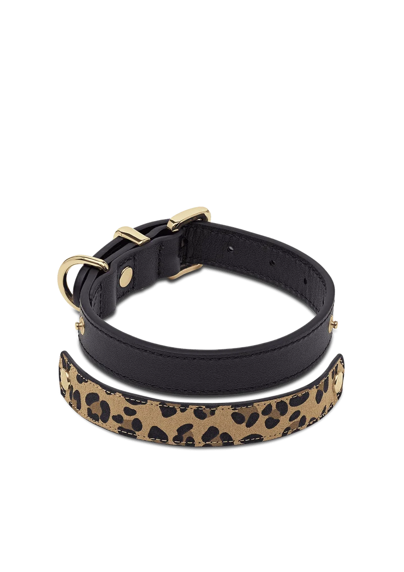 Animal Print - Classic Dog Collar S-M