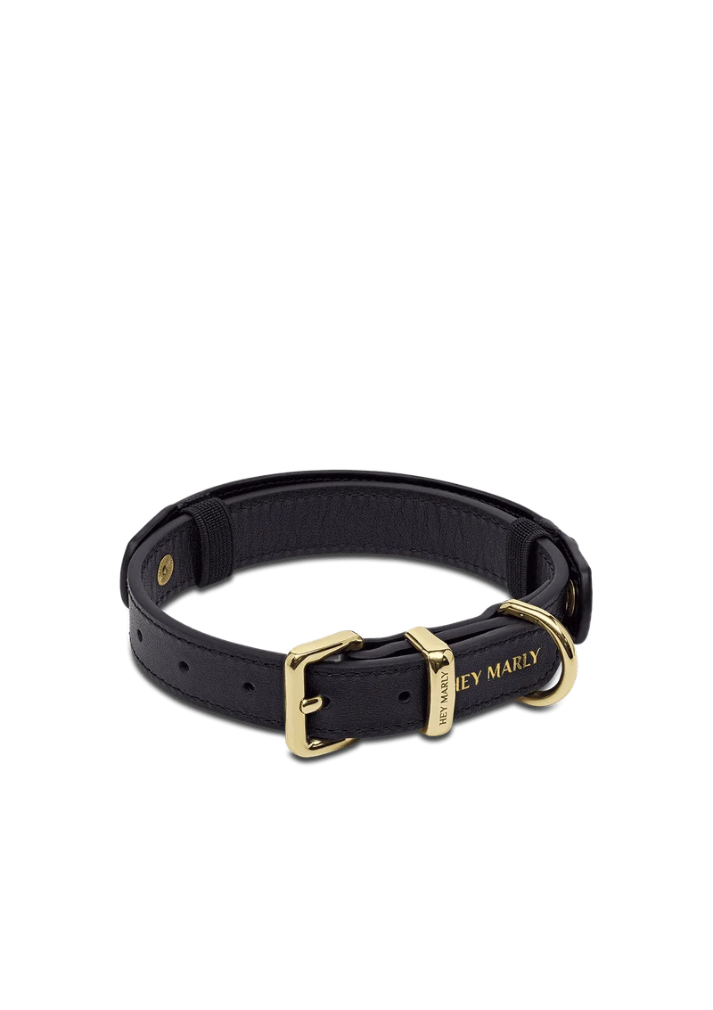 Animal Print - Classic Dog Collar S-M
