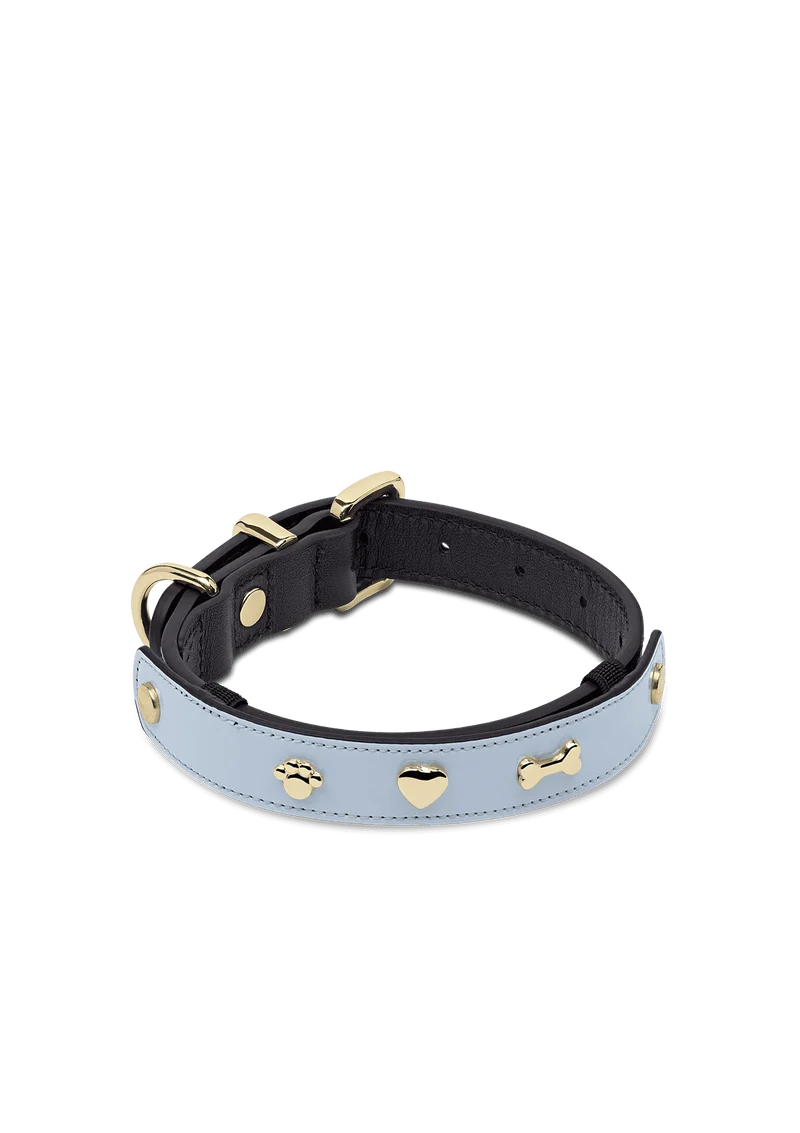 City Gloss - Classic Dog Collar S-M