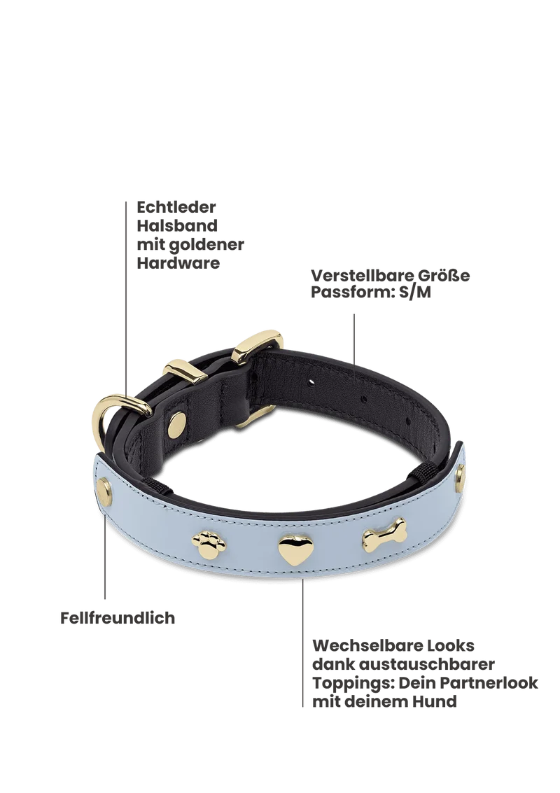 City Gloss - Classic Dog Collar S-M