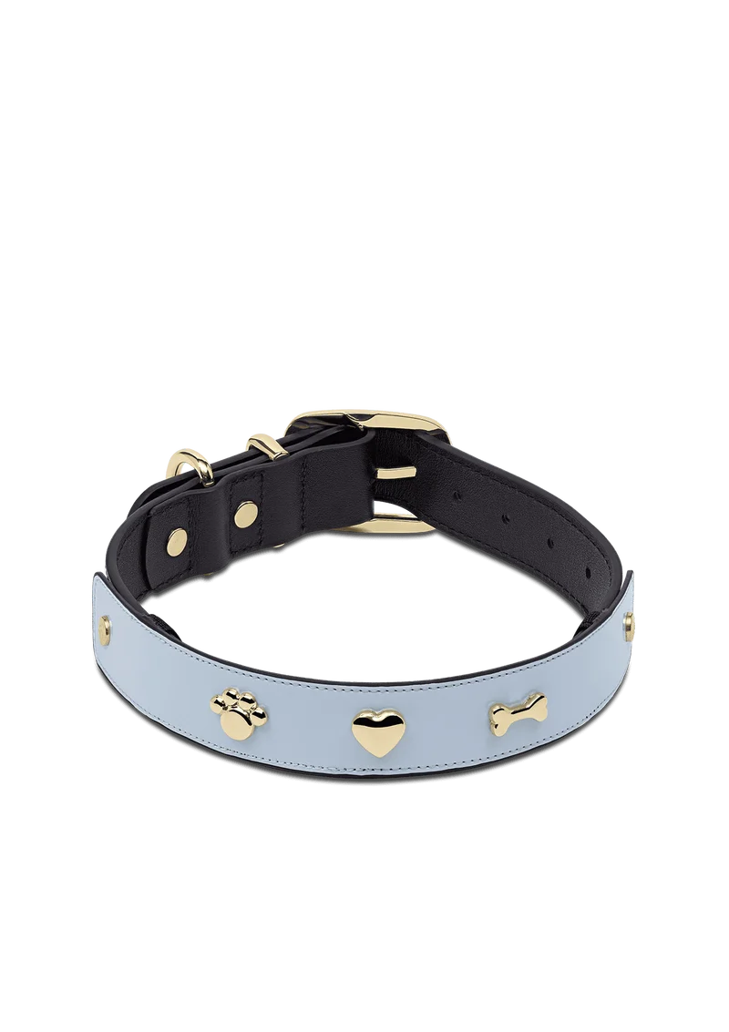 City Gloss - Classic Dog Collar L