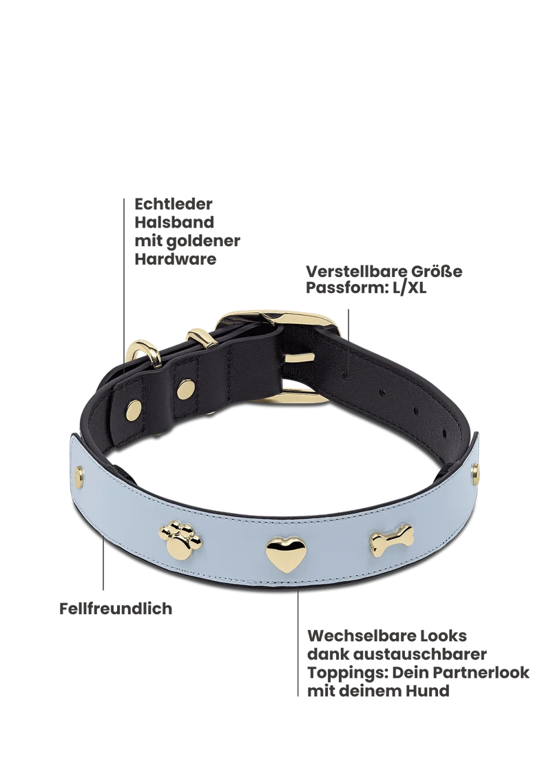 City Gloss - Classic Dog Collar L