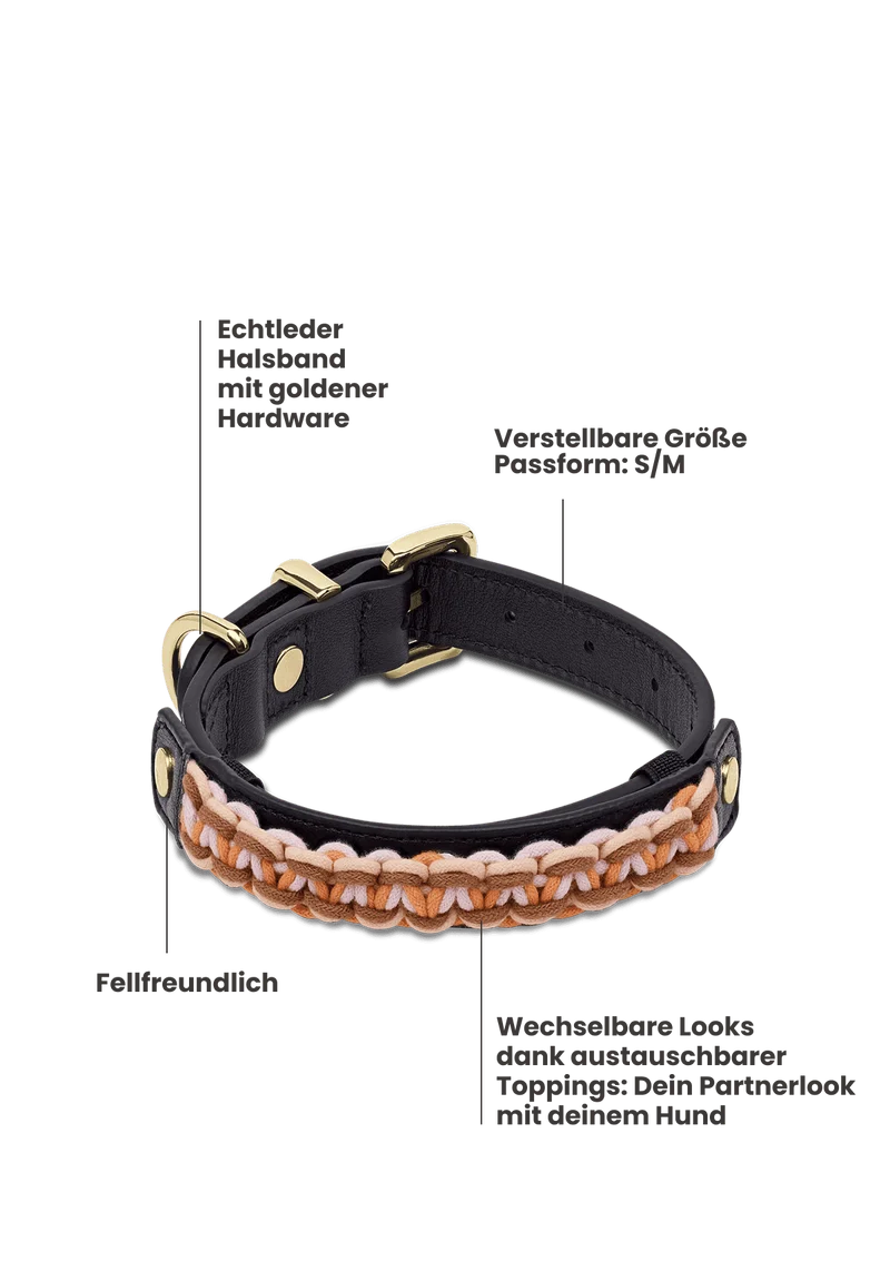 Nautic Vibes - Classic Dog Collar S-M