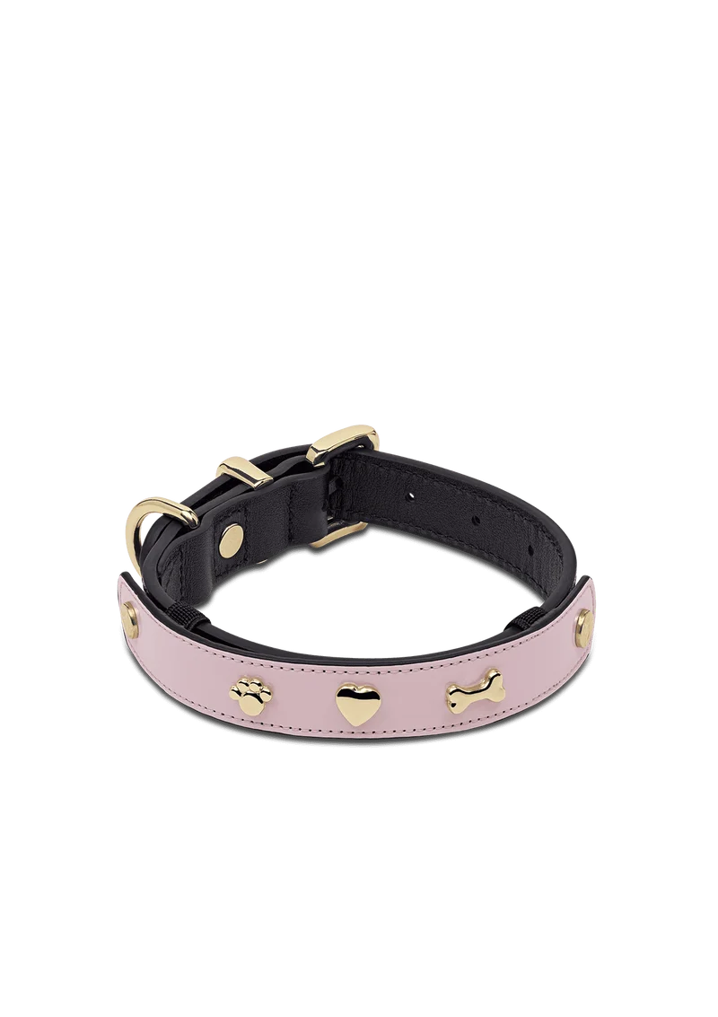 City Gloss - Classic Dog Collar S-M
