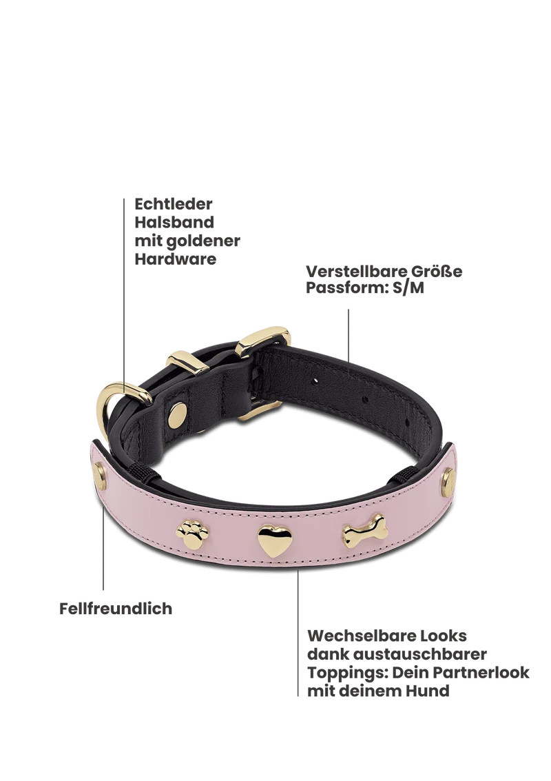 City Gloss - Classic Dog Collar S-M