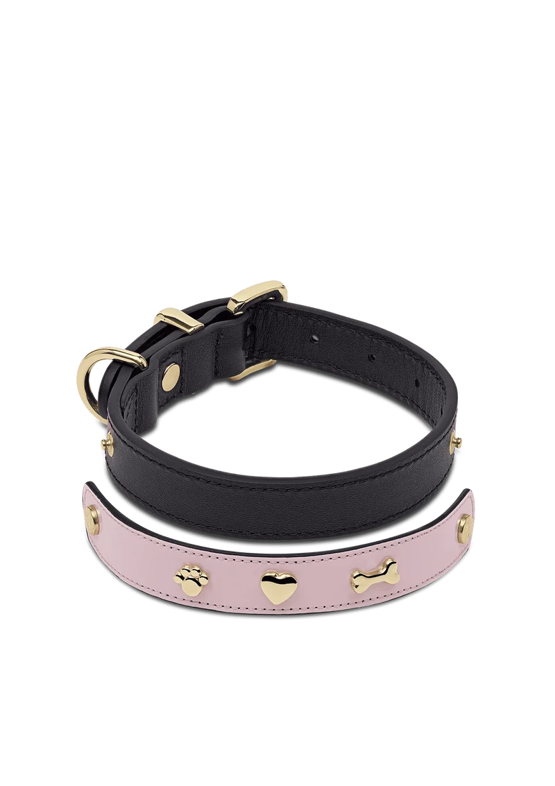 City Gloss - Classic Dog Collar S-M