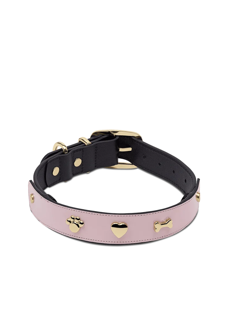 City Gloss - Classic Dog Collar L