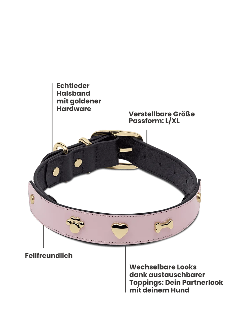 City Gloss - Classic Dog Collar L