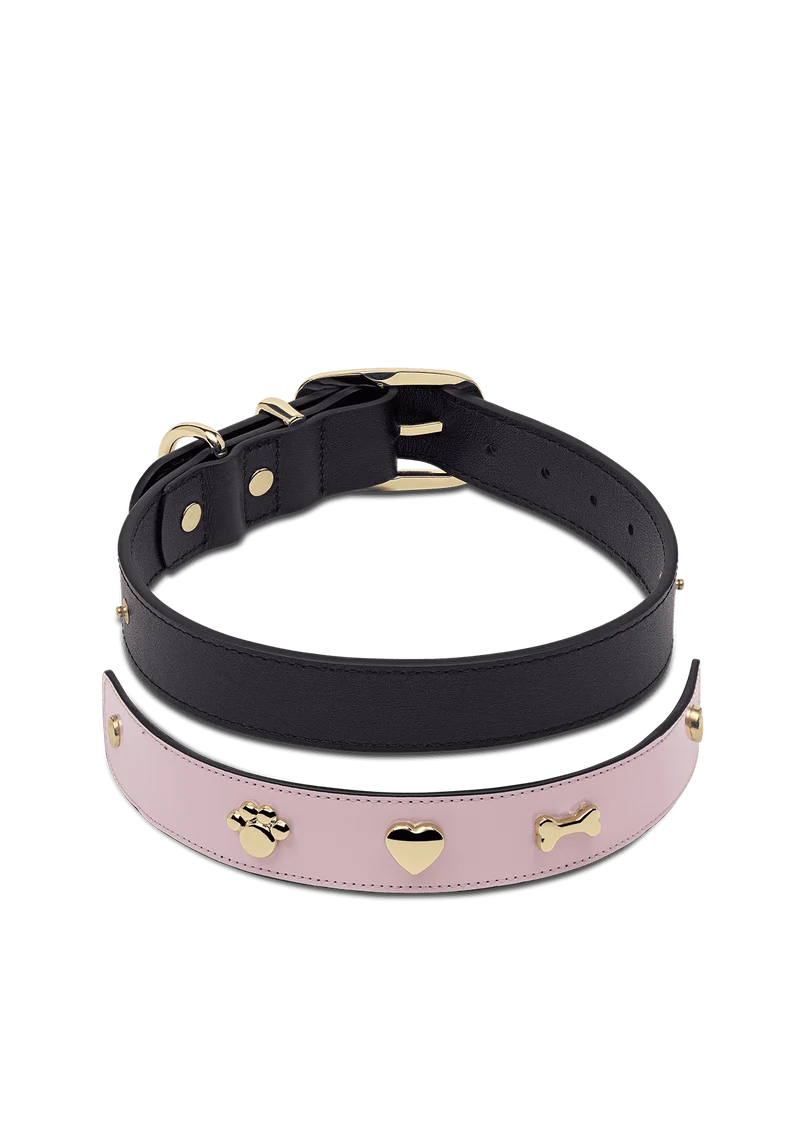 City Gloss - Classic Dog Collar L