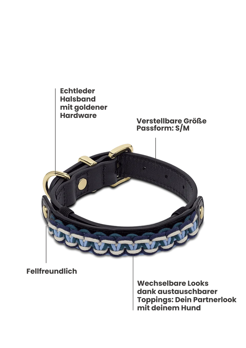 Nautic Vibes - Classic Dog Collar S-M