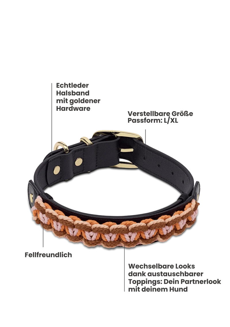 Nautic Vibes - Classic Dog Collar L