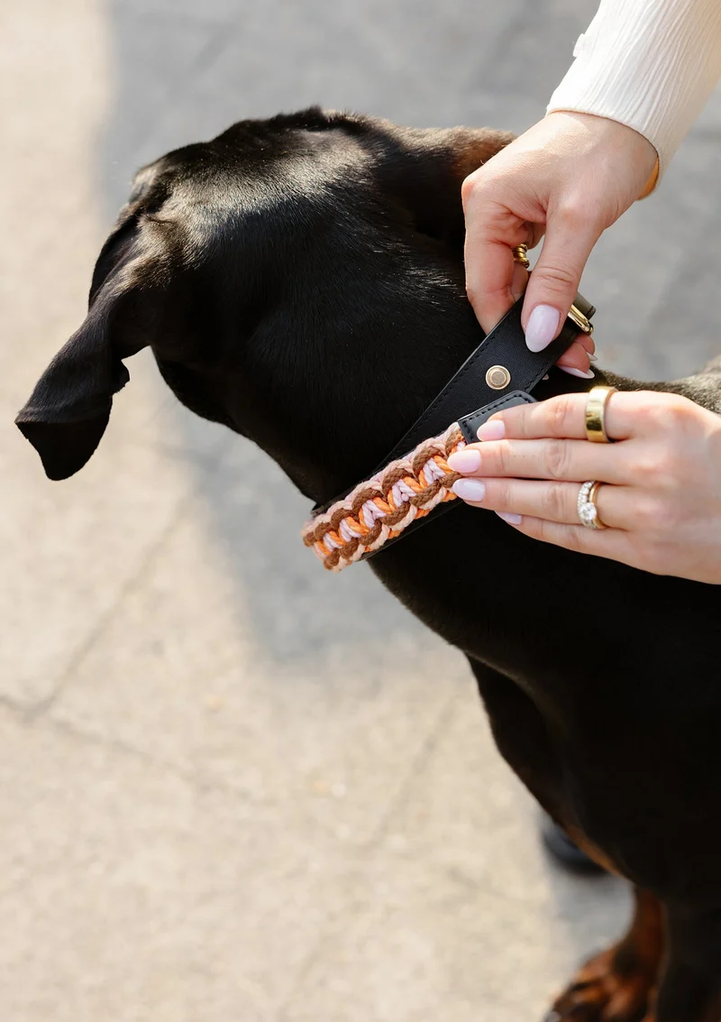 Nautic Vibes - Classic Dog Collar L