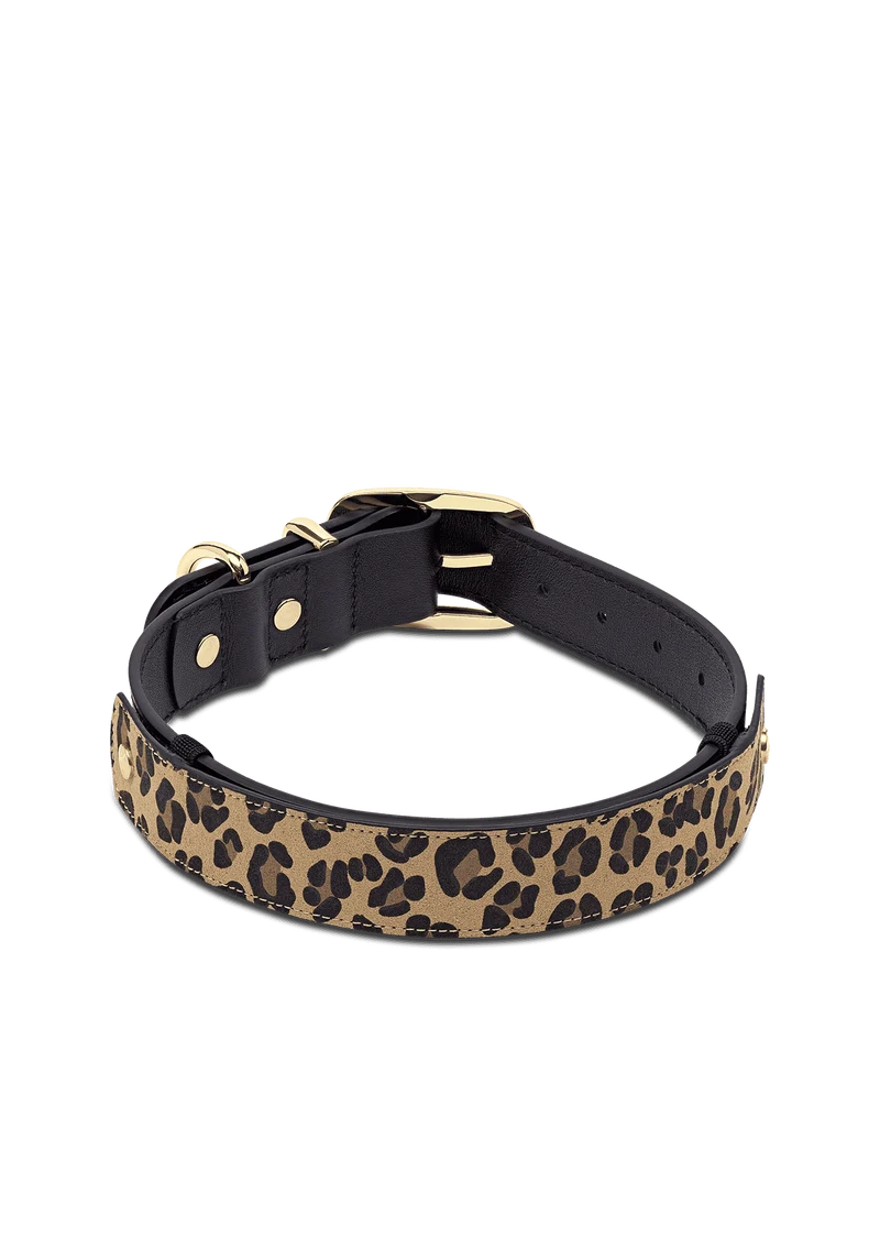 Animal Print - Classic Dog Collar L