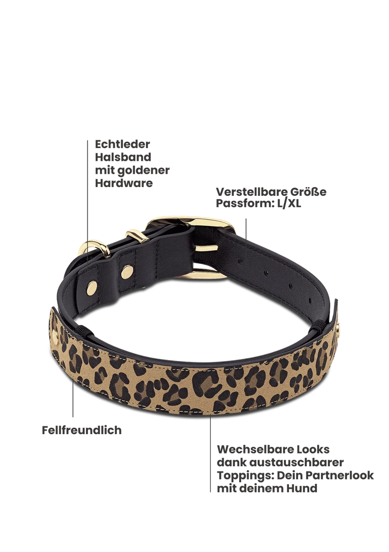 Animal Print - Classic Dog Collar L